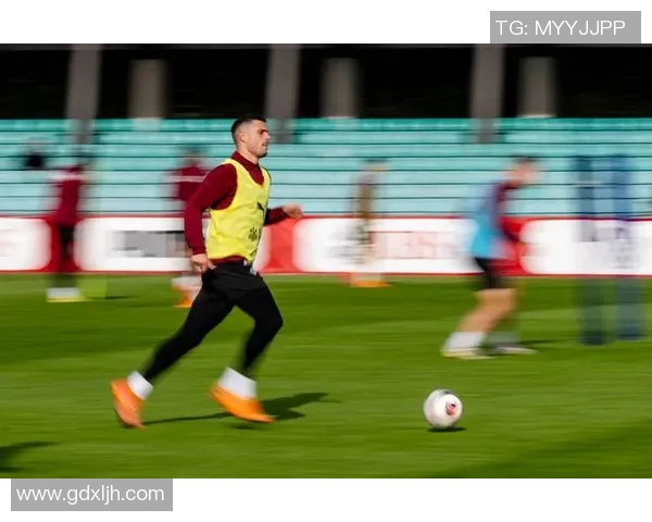 瑞士足球明星的崛起与成就探讨